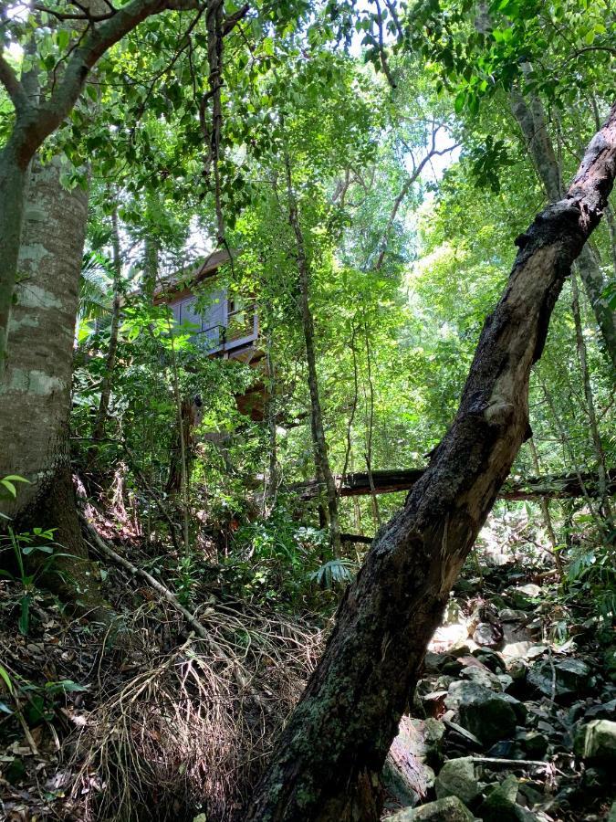 Cairns Rainforest Retreat Exterior foto